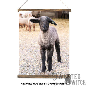 'Livestock get me hamped up' Scroll Canvas