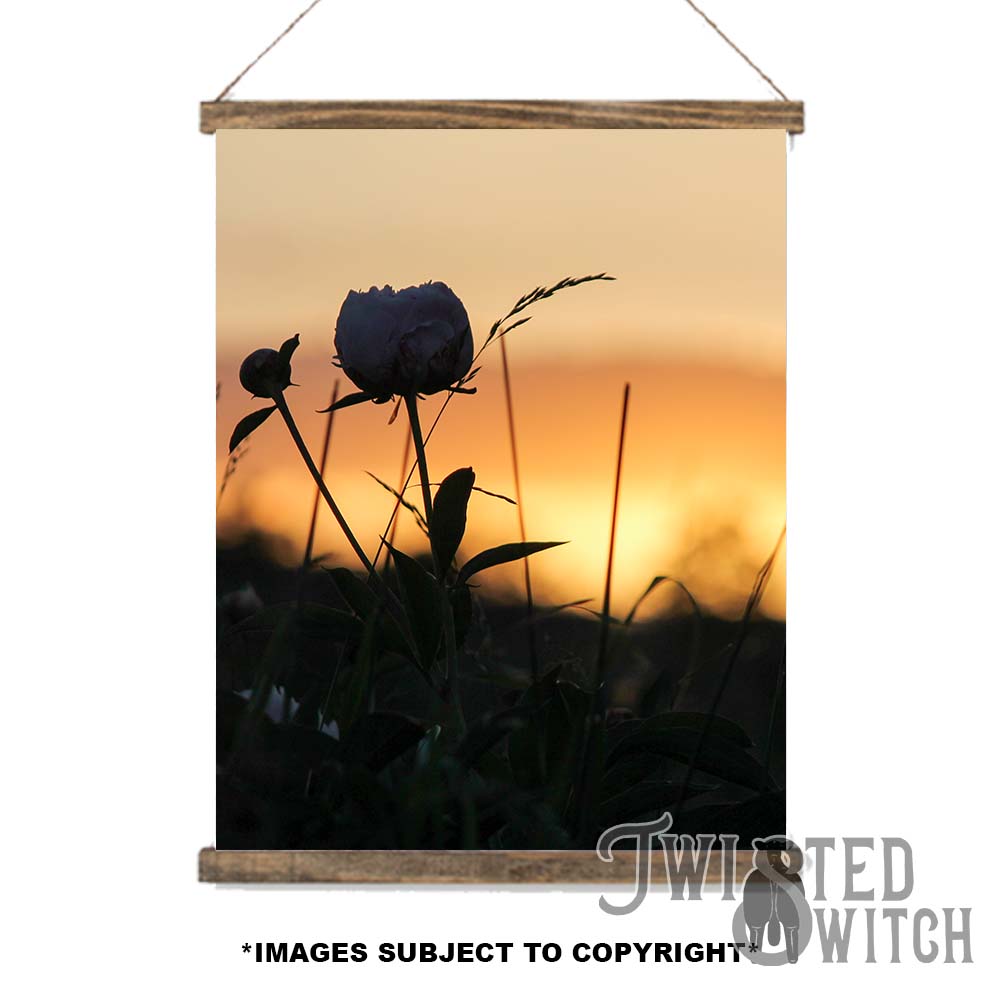 'Perfectly Peony' Scroll Canvas