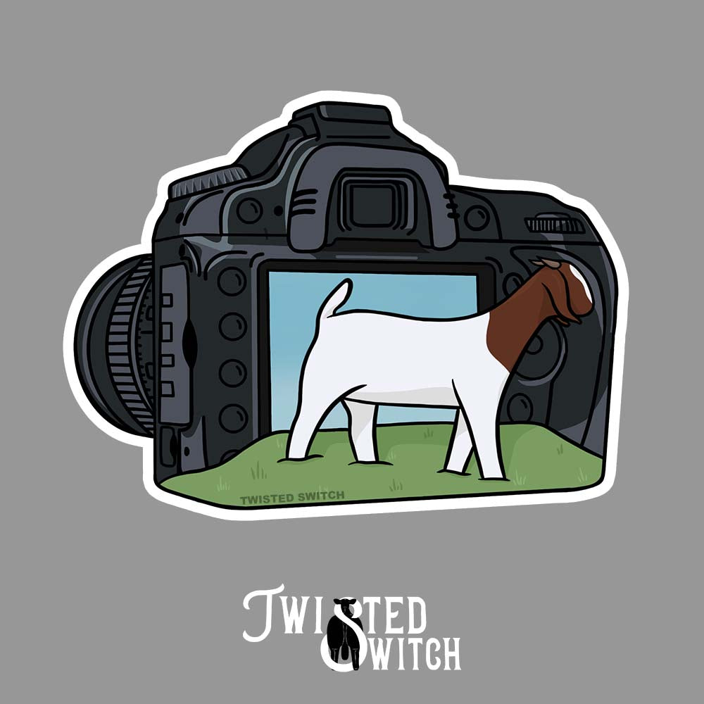 Picture This- Goat Sticker