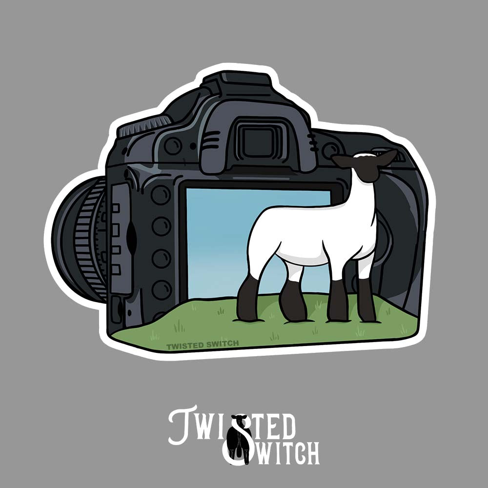 Picture This- Lamb Sticker