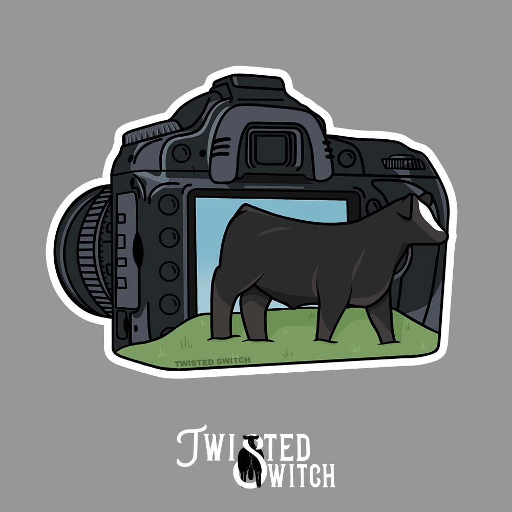 Picture This- Cattle Sticker