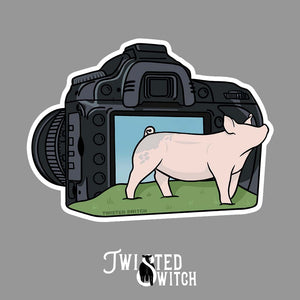 Picture This- Swine Sticker